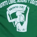 La respuesta del Gobierno ante el tornado en Puerto Varas